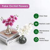 Oairse White Orchids Artificial Flowers Faux Orchid Arrangement with Black Glass Vase Set of 2 Real Touch Phalaenopsis Orchid Flowers Orchid Centerpiece for Dining Room Table