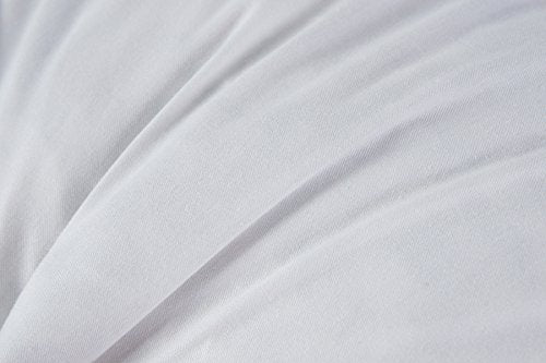Set of 2, 95% Feather 5% Down 18 Inch Round Decorative Pillow Insert, Cotton Cover, White, Set of 2