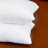 Set of 2, 18 x 18 Inches Throw Pillow Inserts, Square Decorative Couch Sofa Pillow Inserts