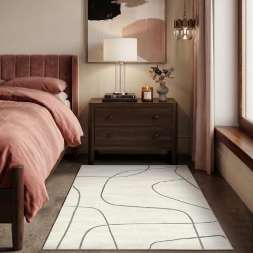 jinchan 4x6 Modern Abstract Curved Line Washable Area Rug, Grey