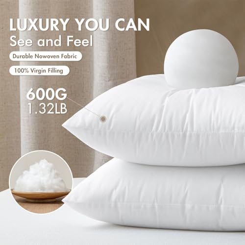 MIULEE Set of 2 Throw Pillow Inserts 20x20 Inches, 100% Virgin Filling Nonwoven Pillow Inserts for Couch Sofa Living Room