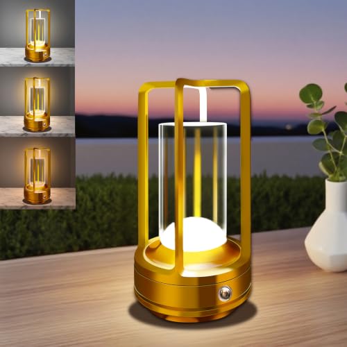 Portable Metal Table Lamp, 4000 mAh Rechargeable Outdoor Table Lamp Cordless, 3 Color Stepless Dimmable Atmosphere Table Lamps for Patio, Camping, Coffee table decor lamp for Indoor/Outdoor