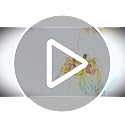 Hand Blown Glass Flower vases, Unique Glass vases, Wide Mouth vases, Small Modern Art Deco Glass vases for Home Living Room, Office, Table centerpieces, Bookshelves and Wedding Decorations