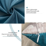 Tritard Nautical Coastal Throw Pillow Covers 18x18 Set of 2 Beach Themed Ocean Seashell Coral Starfish Velvet Couch Decorative Pillow Cases Outdoor Sofa Cushion Cover for Bedroom Living Room, Blue