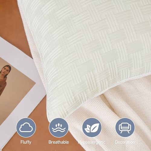 Leeden 18 x 18 Pillow Inserts Set of 2 (White) & 18 x 18 Pillow Inserts Set of 2 (Beige)