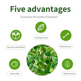 Fake Hanging Plants Vines(2pcs)for Room Decor, Artificial Ivy Greenery Garlands for Home Bedroom Living Aesthetic Kitchen Office Wall Patio Bookshelf,Indoor,Outdoor Farmhouse Decorations(No flowerpot)