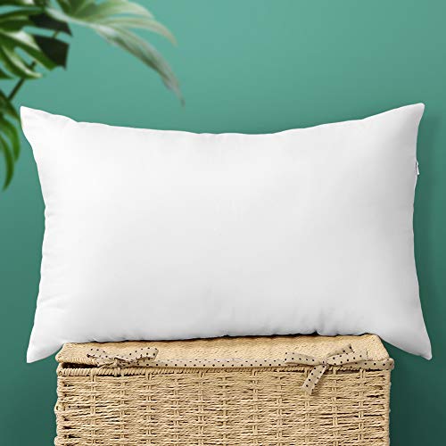 OTOSTAR 16x24Inch Throw Pillow Inserts, Set of 1 Rectangle Form Cushion Stuffers for Couch, Sofa, Bed - Indoor Decorative Pillows Inserts