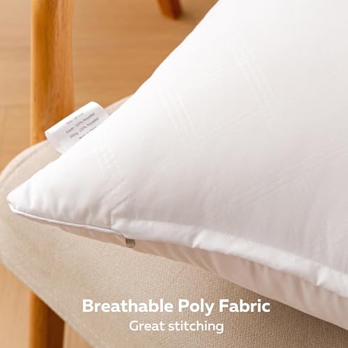 Oubonun 18x18 Inches Pack of 2 Throw Pillows Inserts, White Square Cushion Inner Soft Fluffy Plump Stuffer Pillows Inserts for Sofa Bed Couch