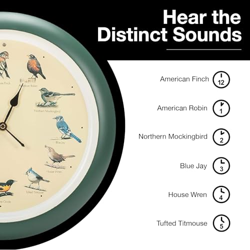 Mark Feldstein, The Original Singing Bird Wall Clock, 13 Inch, Green