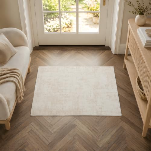2x3 Area Rug Washable Abstract: Non Slip Throw Rugs for Entryway