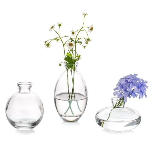 Glasseam Clear Glass Bud Vase, 3Pcs/Set Modern Decorative Small Mini Flowers Vases Short Minimalist Aesthetic Home Decor Vintage Cute Handmade Tiny Wedding Table Centerpieces for Single Flower Rose