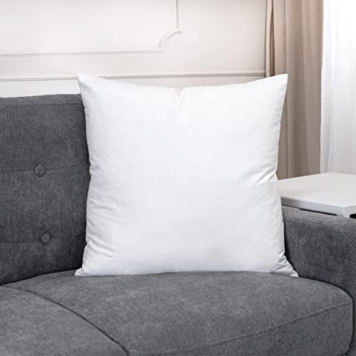 Westex Premium Feather Throw Pillow Insert, 22" x 22"