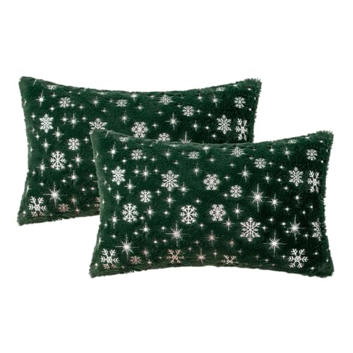 MIULEE Christmas Decorations Pillow Covers 12x20 Green Silver Snowflake