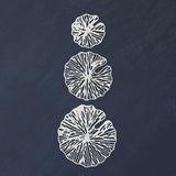 Creative Co-Op Handmade White Coral Shaped Paper & Metal Wall Décor (Set of 3 Sizes)