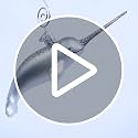 Old World Christmas NARWHAL Ornament, Multi 2x6