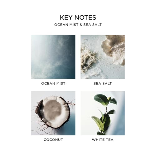 NEST New York Reed Diffuser Liquid Refill, Ocean Mist & Sea Salt - 5.9 fl oz - Fragrance for Up to 90 Days - Flame Free