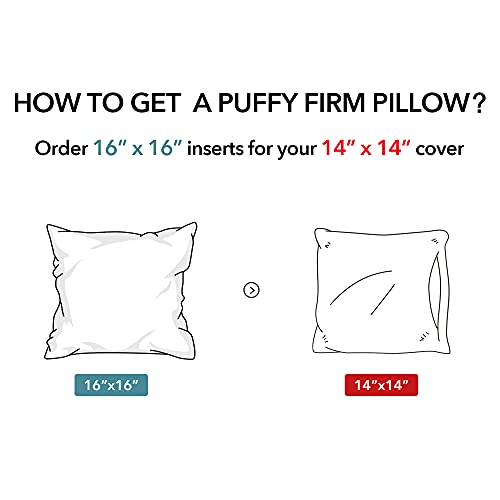 Oubonun 16 x 16 Throw Pillow Inserts Set of 2-100% Cotton Cover - White Couch Bed Decorative Pillow Pair