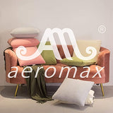 AM AEROMAX 12 × 20 Pillow Insert (Pack of 2) Memory Foam Lumbar Support Throw Pillow Sham Rectangular for Decorative Cushion Bed Couch Sofa Without Deform After Longtime Use(Black)