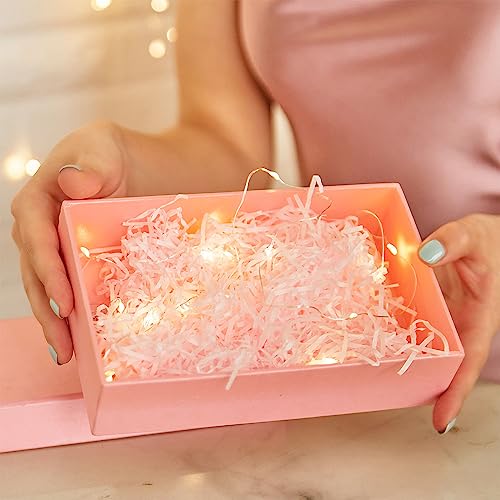 Etinga 12-Pack Fairy String Lights, 7ft 20 LEDs Each, Battery Operated Copper Wire Lights, Warm White Decorative Lights for Wedding, Party, Christmas, Holiday Décor & DIY Crafts