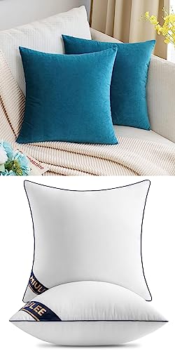MIULEE Pack of 2 Velvet Decorative Pillow Covers Teal Bundle Set of 2 Pillow Inserts 18x18