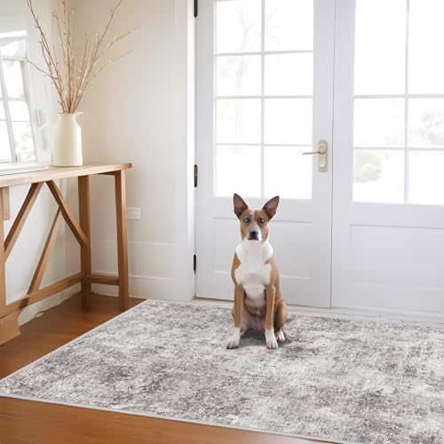 Abstract 3x5 Washable Rug: Modern Non Slip Area Rug Soft Carpet Foldable Distressed Stain Resistant Neutral Rugs for Hallway Living Room Bedroom Decor Indoor Small Farmhouse Rug 3'x5' Gray Cream
