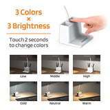Rechargeable Small Desk Lamp for Home Office Bedroom, Study Table Light for Kids Teens, White, LED, Pen Holder, Mini, Gooseneck, College Dorm Room Lighting for Computer Keyboard Desktop Task