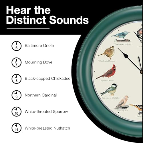 Mark Feldstein, The Original Singing Bird Clock, 10.7 Inch, Green