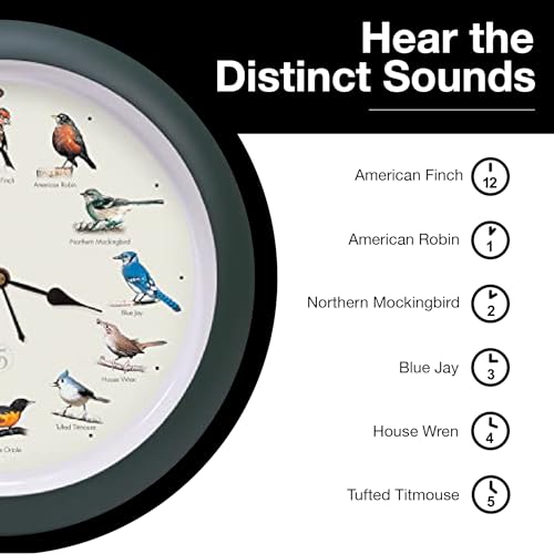 Mark Feldstein, The Original Singing Bird Clock, 25th Anniversary Edition, 13 Inch, Green