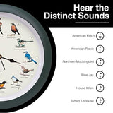 Mark Feldstein, The Original Singing Bird Clock, 25th Anniversary Edition, 13 Inch, Green