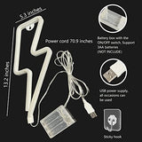 Neon Signs Lightning Bolt Neon Light Sign for Wall Decor, Battery or USB Powered Led Lightning Light Neon Sign for Bedroom, Kids Room, Birthday, Party, Wedding, Home, Kids Decorations Red