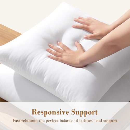 puredown® 20x20 Pillow Inserts, Fluffy Plush Square Form Sham Stuffer Set of 2, Decorative Down Alternative Pillows for Couch, Sofa, Bed and Home Decor