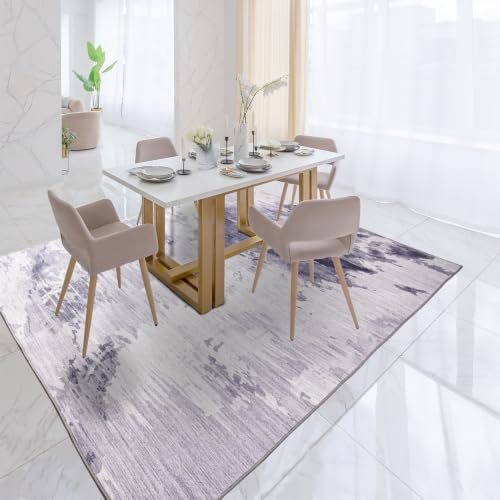 Area Rug 4x6 Light Grey Rug Washable Boho Rugs Non Slip Low Pile Abstract Small Carpet for Entryway, Bedroom, Kitchen, Classroom, Kids Room, Office, Dorm, Dining Room