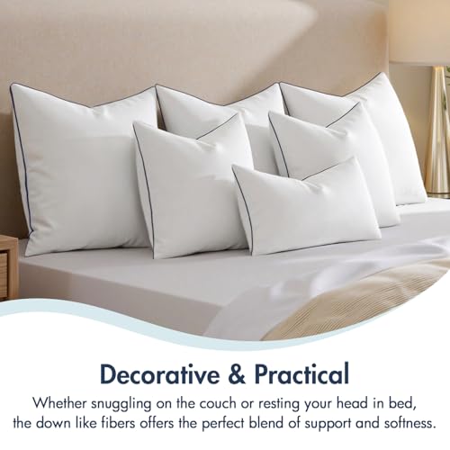 MIULEE 24x24 Euro Pillow Inserts, Fluffy Down Alternative Filling Pack of 2 Ultra Soft Throw Pillows for Bed Sofa Couch