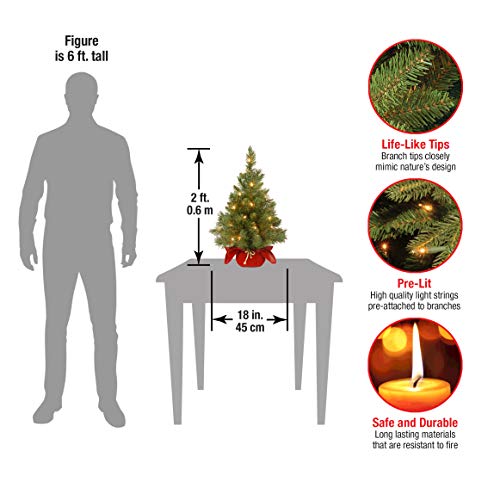 National Tree Company 24 in Pre-Lit Majestic Fir Mini Artificial Christmas Tree, 35 Clear Lights, 71 Tips, Red Cloth Base, Green