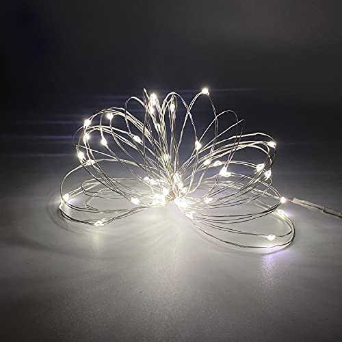 Set of 2 Battery Operated Small Lights Strand,Mini Led Fairy Lights with Timer 6 Hours on/18 Hours Off for Wedding Centerpiece Party Decoration,30 Count LED,10 Ft Silver Wire (Cold White)