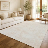 Abstract Area Rug 3x5 Ft Washable Rugs for Entryway Indoor