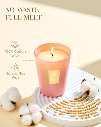 M&SENSE Tropical Spice Peach Soy Candle, 14.1oz, Summer Fruit Scent