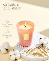 M&SENSE Tropical Spice Peach Soy Candle, 14.1oz, Summer Fruit Scent