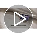Westex Premium Feather Throw Pillow Insert, 22" x 22"