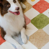 jinchan Macy 5x7 Area Rug for Kids Room Modern Colorful Nursery Rug Checkered Diamond Play Mat Washable Soft Non Slip Carpet for Playroom Classroom Bedroom Dorm Daycare Living Room Circus on Cream