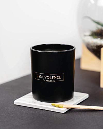 Benevolence LA Premium Lavender & Lilac Scented Candle – Long-Lasting, 45-Hour Burn – Luxury Natural Soy Candle for Home – Aromatherapy & Room Decor – 8oz