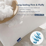 MIULEE 18x18 Inch Pack of 2 Throw Pillow Inserts 100% Virgin Fiber Filling Bundle Beige Soft Chenille Throw Pillow Covers Boho Decorative for Livingroom Bedroom Sofa Couch Bed