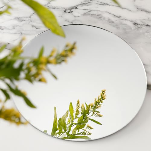 8 inch Glass Round Mirror Circle Wall Mounted for Bathroom, Living Room, Home Decor, Small Round Mirror Plate Trays for Wedding Table Centerpieces