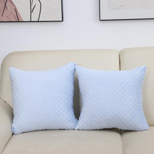 2 Packs Neutral Decorative Throw Pillow for Living Room Couch Bed Sofa,Soft & Comfortable Fulffy Filling (Baby Blue, 20x20 Inches)