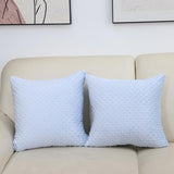 2 Packs Neutral Decorative Throw Pillow for Living Room Couch Bed Sofa,Soft & Comfortable Fulffy Filling (Baby Blue, 20x20 Inches)