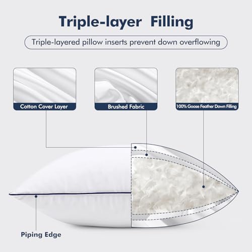 MIULEE Goose Feather Down 20x20 Pillow Insert Set of 2 with 100% Down-Proof Cotton Cover, Soft Fluffy Decorative Pillow for Sofa Bed Couch Living Room White