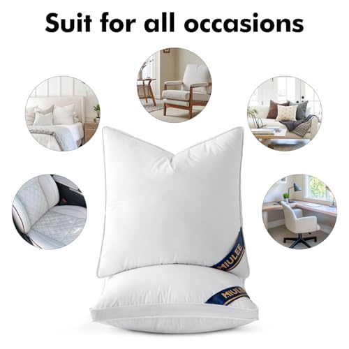 MIULEE 26x26 Feather Down Pillow Inserts with Gusset Bed Pillows,Set of 2 Luxury Fluffy Decorative Throw Pillows for Couch Sofa