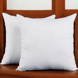 Set of 2, 18 x 18 Inches Throw Pillow Inserts, Square Decorative Couch Sofa Pillow Inserts