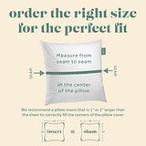 ComfyDown 22x22 Throw Pillow Inserts (Set of 2), Down & Feather Fill, 100% Cotton Cover, Made in USA – Premium Soft Decorative Pillow Forms Sham Stuffers for Bed, Sofa & Couch