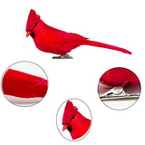 12 PCS Red Cardinals Ornaments Birds Christmas Cardinal Birds Clip for Christmas Tree Ornament Decorations, Arts and Crafts, Clip-On Style